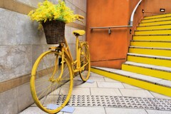 The bicycle which was painted yellow