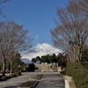 富士