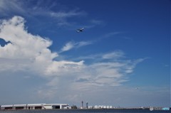 紺碧の大空へ