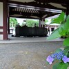 きょうの手水舎