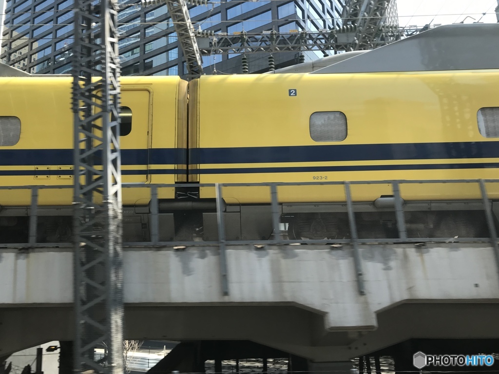 今日は幸運日か！