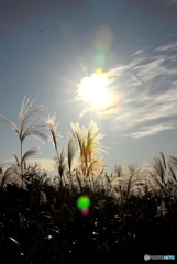 吹き抜ける秋風と太陽を浴びて