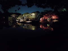 夜の六義園