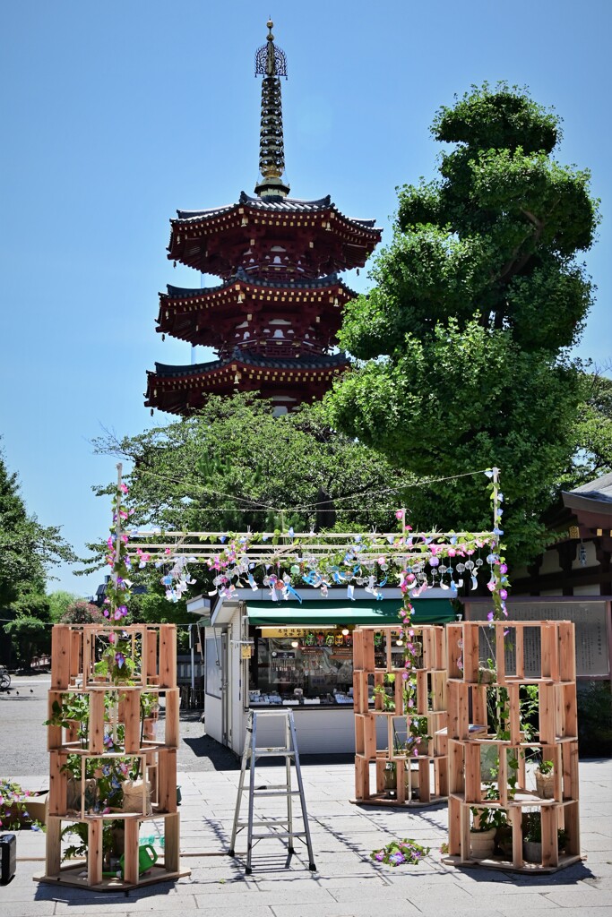 風鈴市、準備中・・・