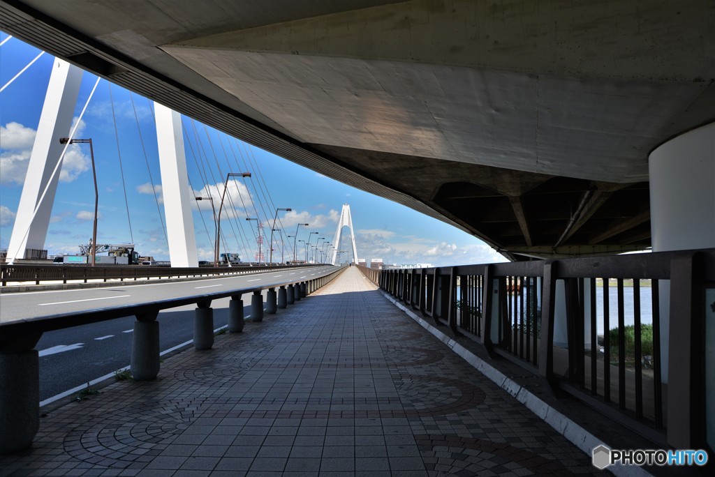 首都高の真下にて・・・(大師橋)