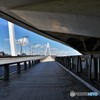 首都高の真下にて・・・(大師橋)
