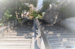 夢の中へ・・・