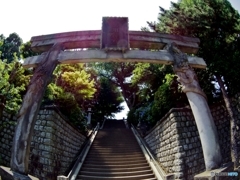 品川神社です。^^