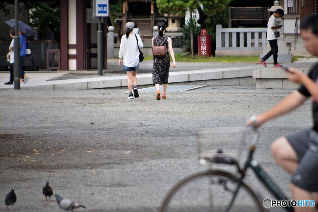 今日の大師さん・・・境内