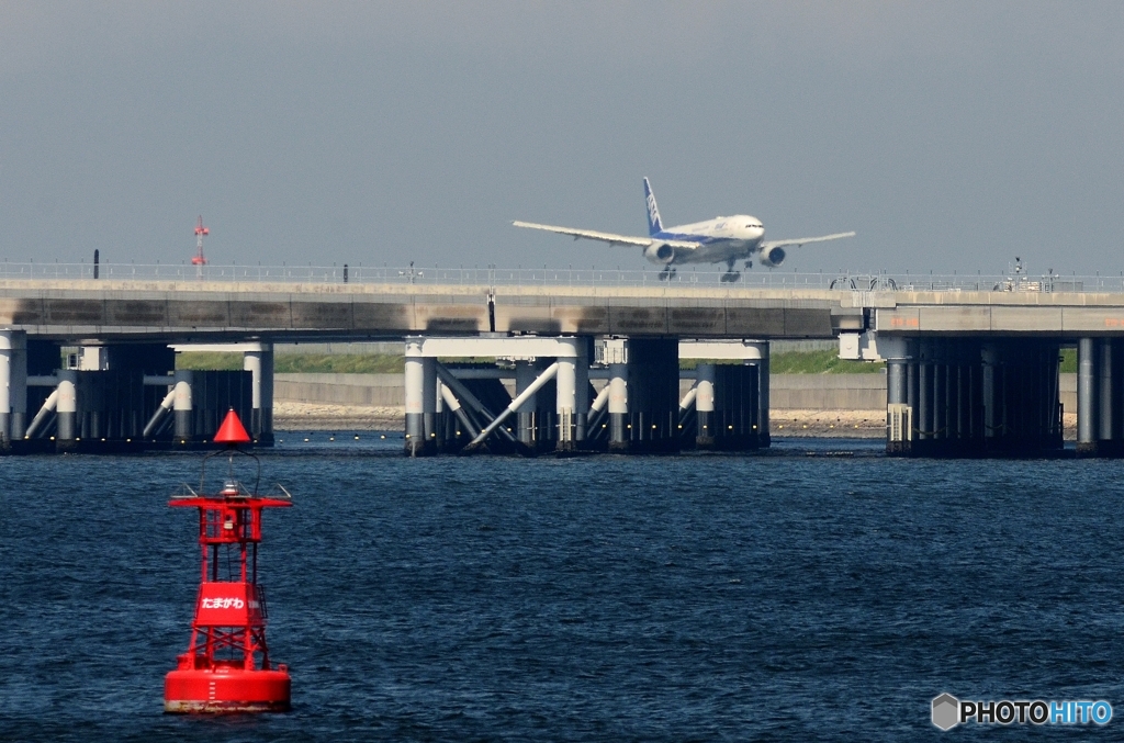 approaches the D runway