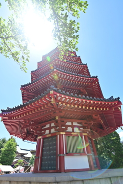 眩しい五重塔