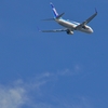 haneda 発