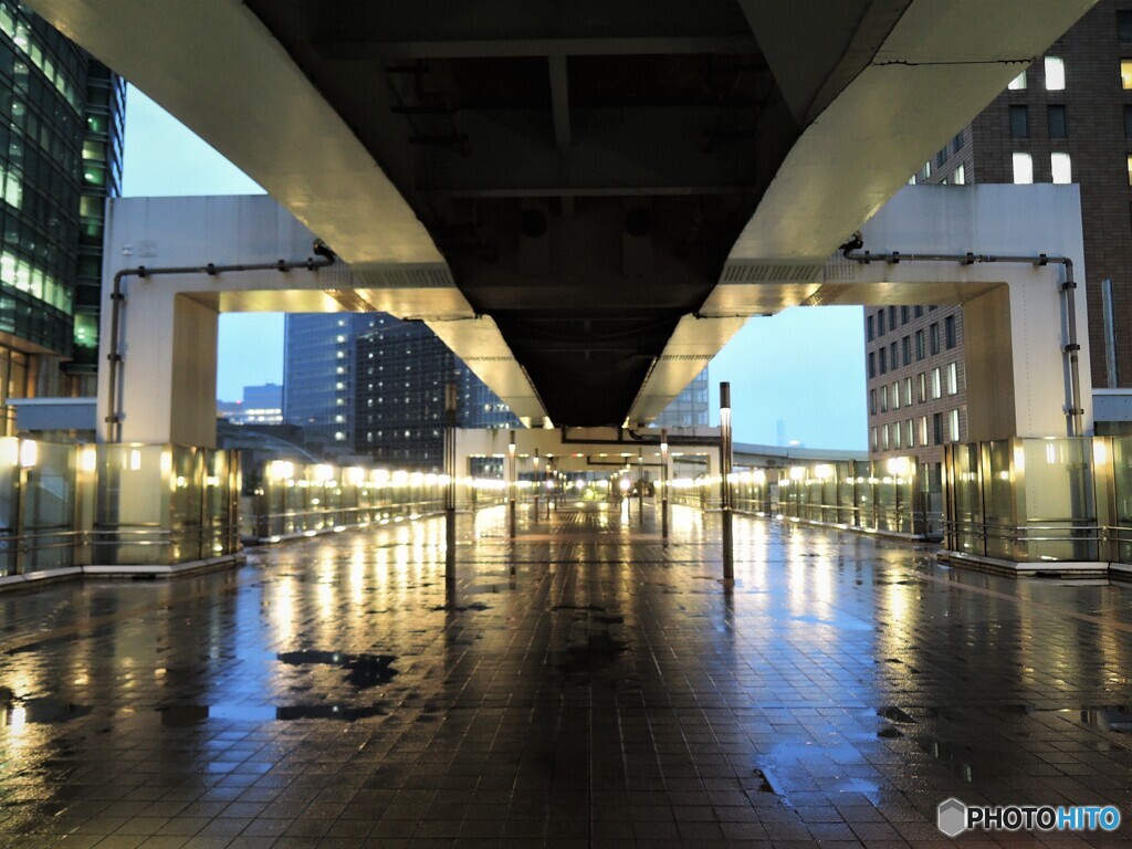 濡れている東京