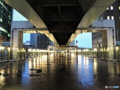 濡れている東京