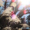 冬の陽を浴びて