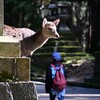 春日に参拝ですかい・・・