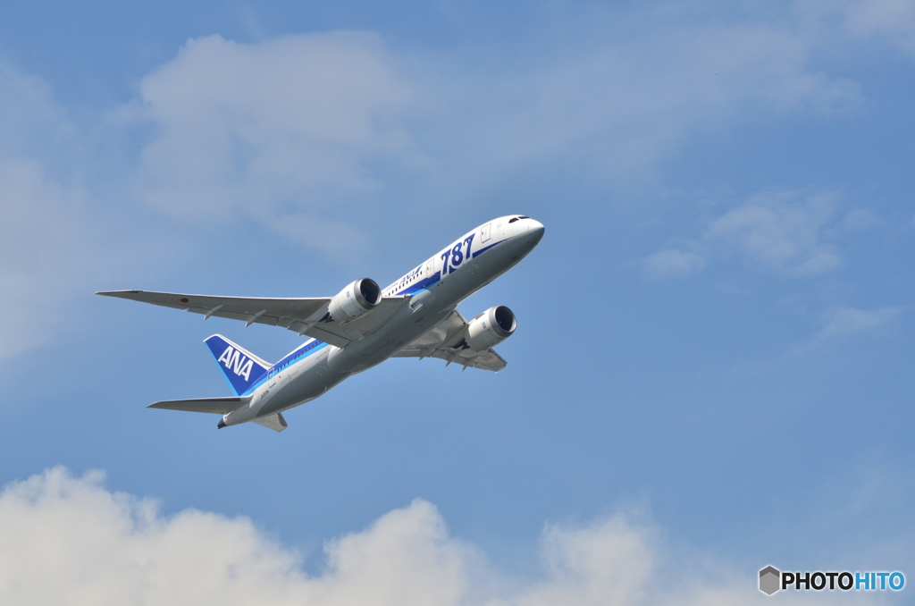 ANA787