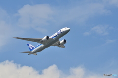 ANA787