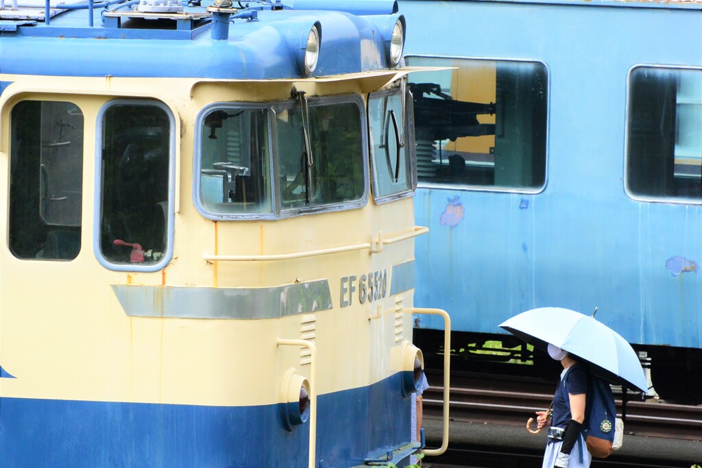 電気機関車と白い日傘