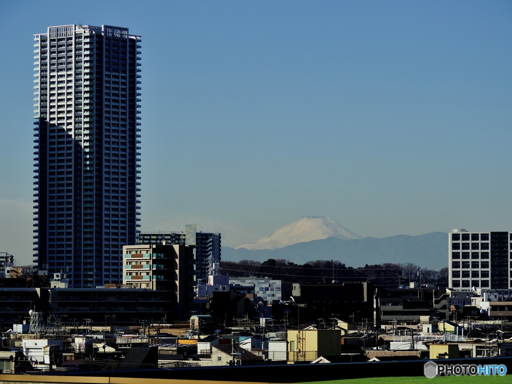 超高層と富士