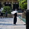 日傘・・・