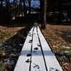 季節のコントラスト