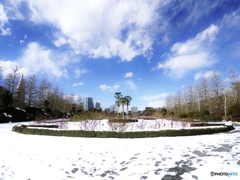 冬の仏国式庭園