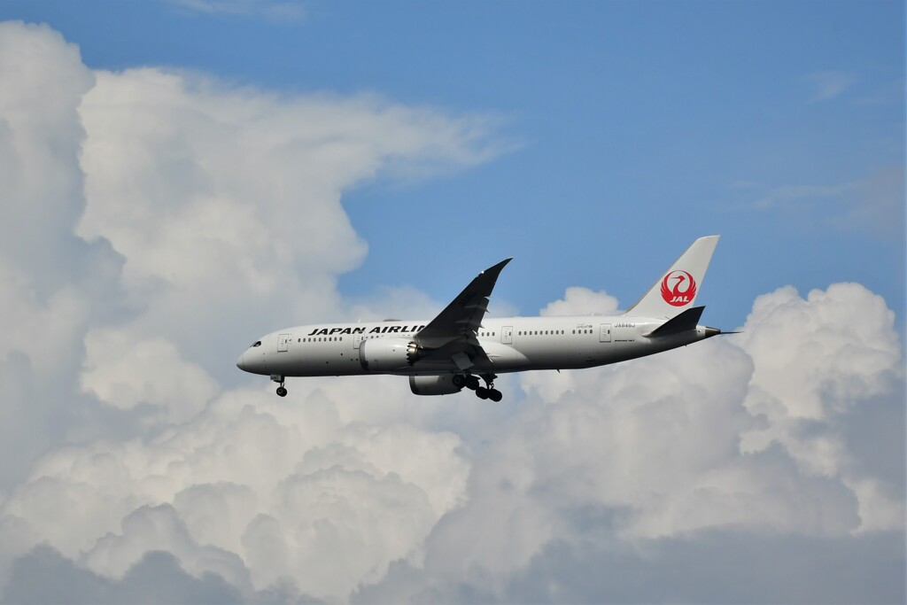 青い空と白い雲をバックに・・・