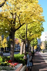 The road which follows in ・・・