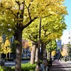 The road which follows in ・・・