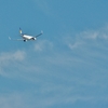 大空へ・・・