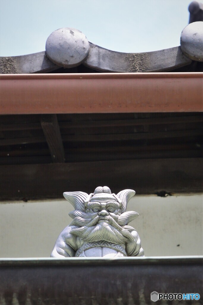 屋根のところから、こんにちは！