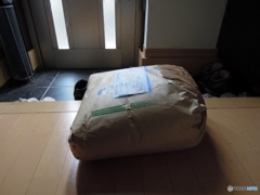 うちの玄関
