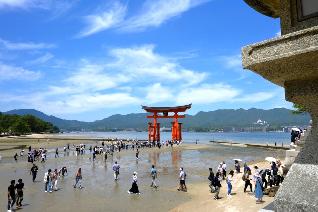 引き潮の鳥居