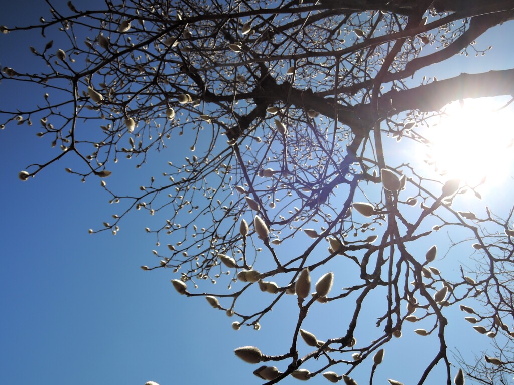 春の予感