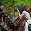 カメラ女子 in 仮設歩道