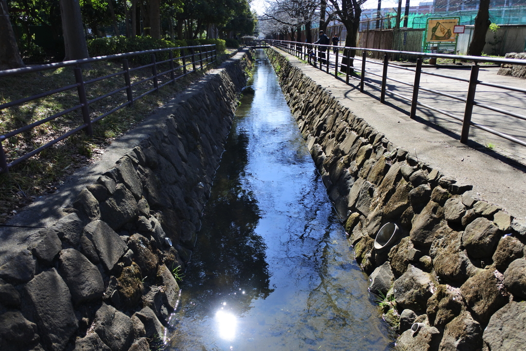 午前中のBluelight