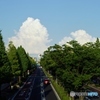 なつぞら