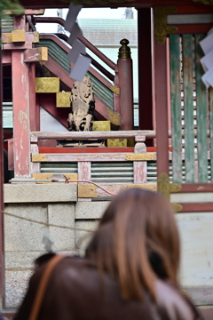 うしろすがた・・・で、