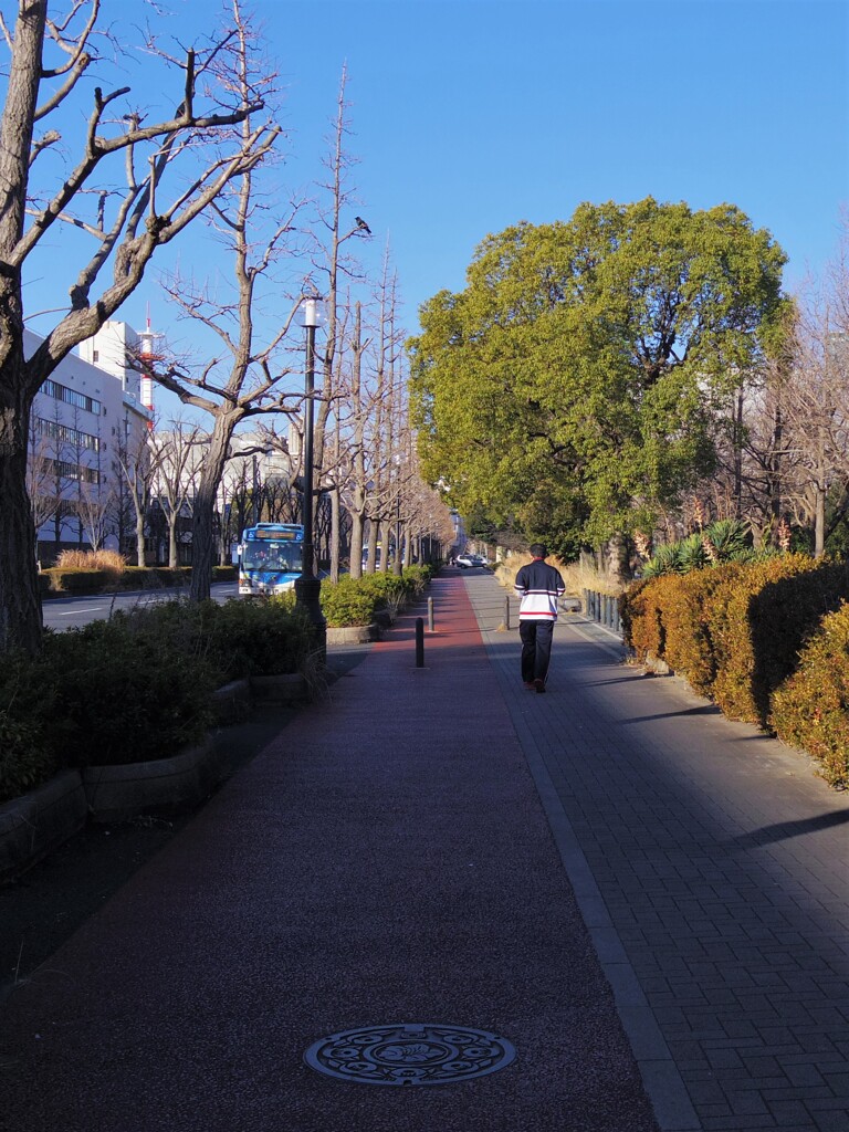 朝のランニング！・・・？