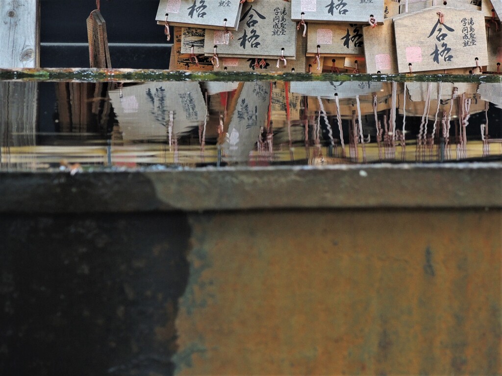 波紋の拡がりを数えますか・・・