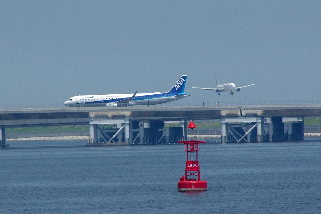 D滑走路・・・活躍中