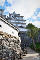 白鷺城・・・其の後は？