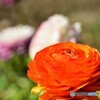 ようこそ！　春のテーブルに