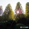 light！