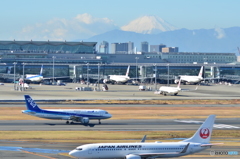 haneda