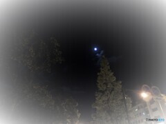 今宵は満月・・・