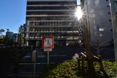 wataruna!
