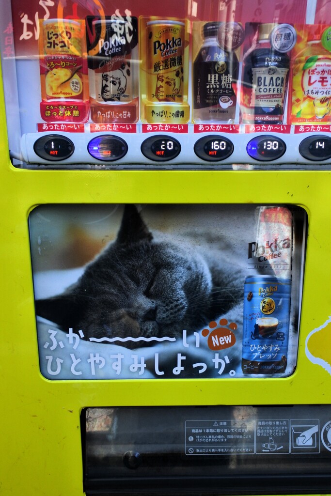 しよっか・・・