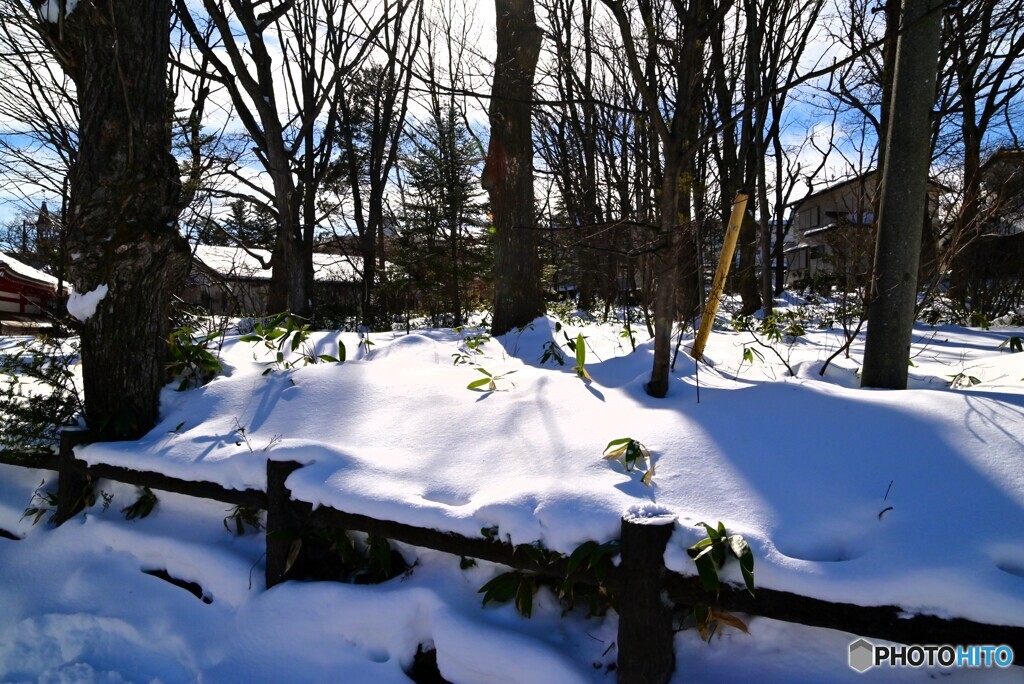 雪近景色
